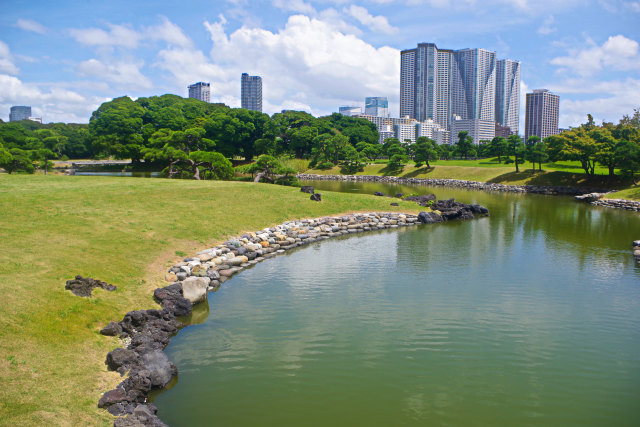 夏の浜離宮恩賜庭園