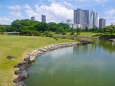 夏の浜離宮恩賜庭園