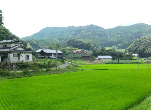 まだまだ暑い山村風景