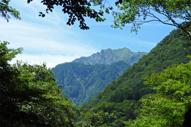 樹間から望む大山北壁