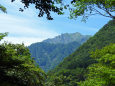 樹間から望む大山北壁