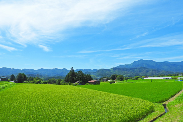 夏の田園風景3