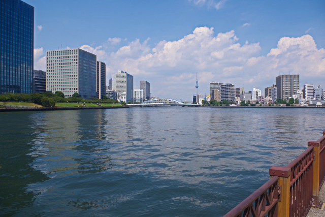 夏の隅田川