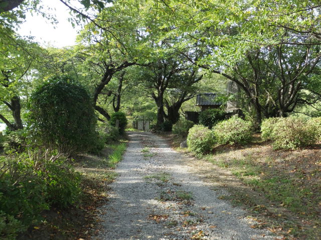 晩夏の公園