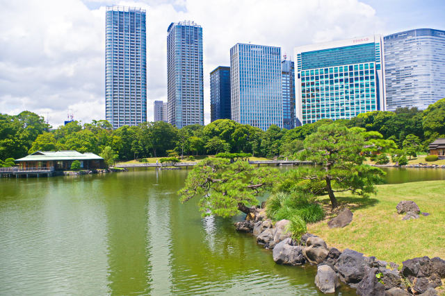 夏の浜離宮恩賜庭園