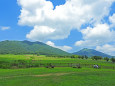 夏の蒜山高原5