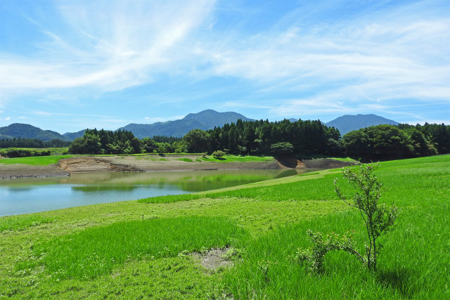 大山池 夏6