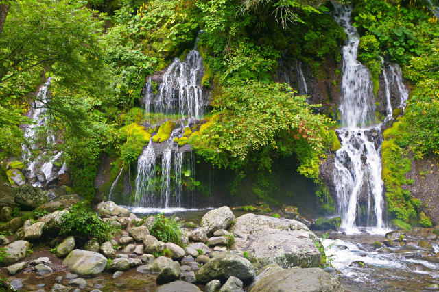 吐竜の滝