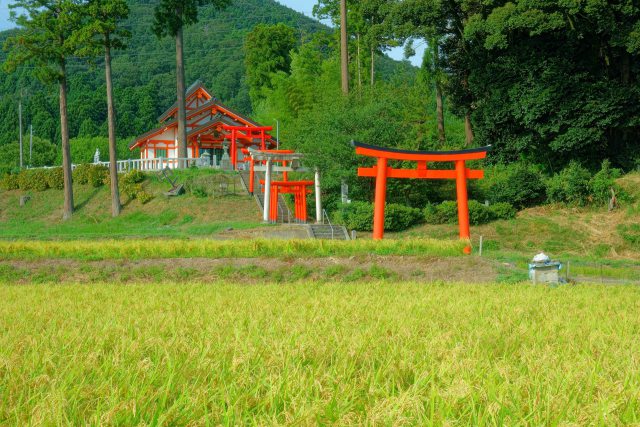 秋の多禰神社