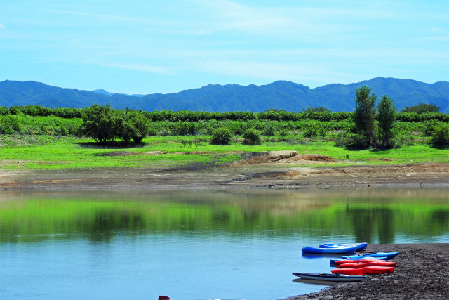 大山池 夏7