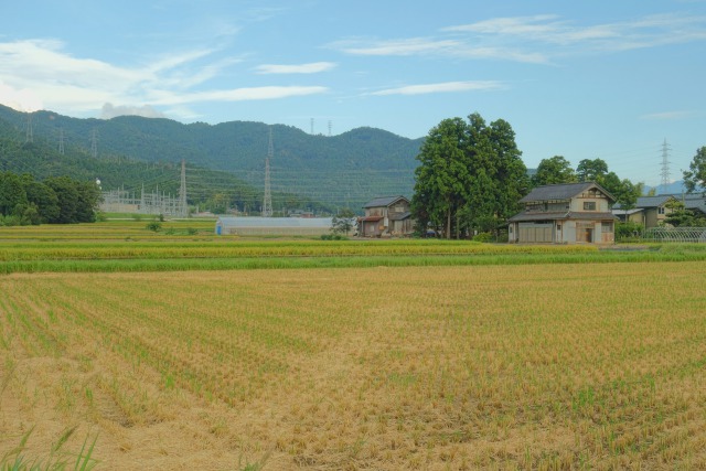 秋風吹く里山