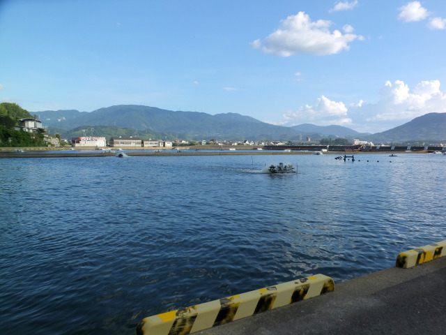 晩夏の海