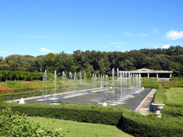 バラ園の風景