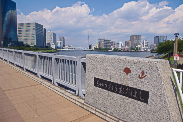 隅田川に架かる橋 中央大橋