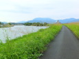 宝満川の向こうに源流の宝満山