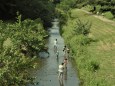 野川で川遊び