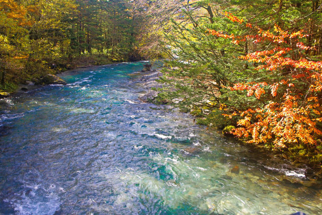 梓川沿いの紅葉