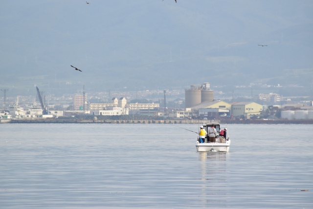 函館湾