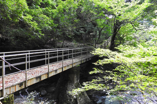 渓谷に架かる橋 阿瀬渓谷