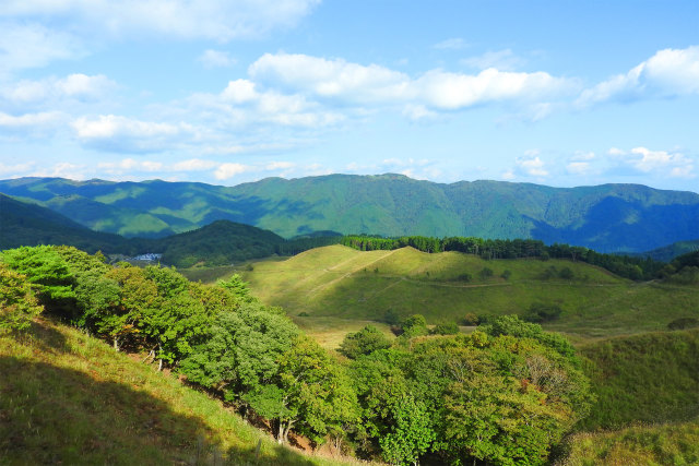 砥峰高原 初秋