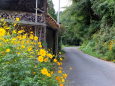 山間部の田舎道