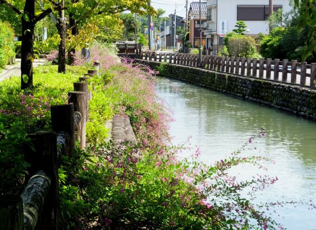 萩の花咲く吉井景観地区