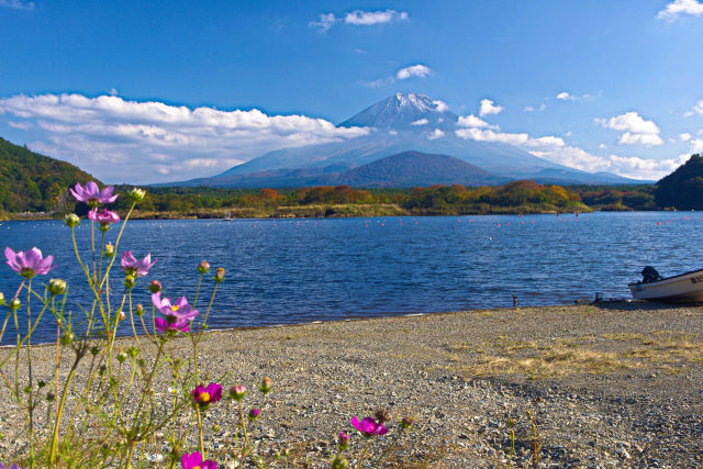 秋の精進湖畔から