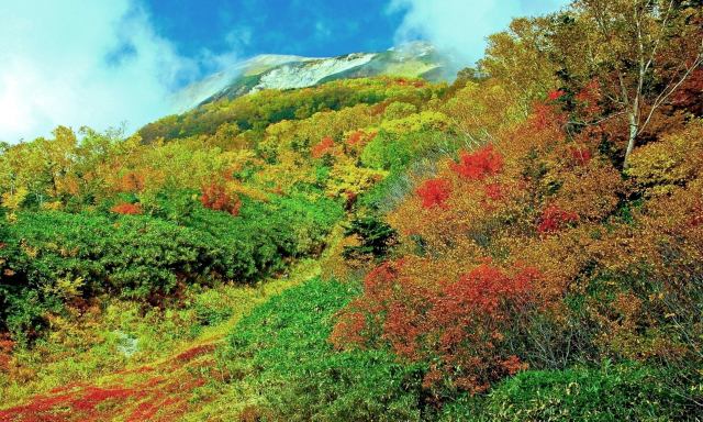 栂池自然園