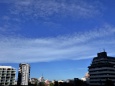 台風一過西新宿の青空