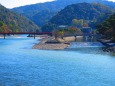 宇治大橋から秋の中の島