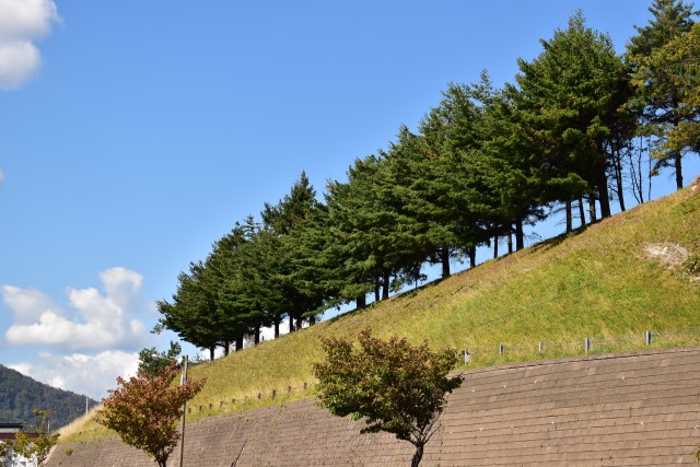 住宅地の真ん中にこの景色