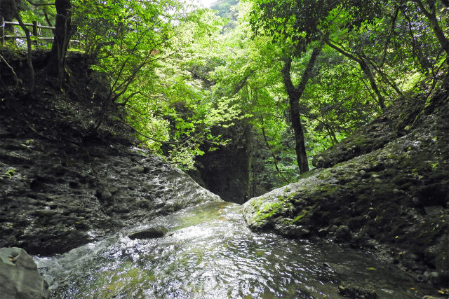 渓流 初秋11 阿瀬渓谷