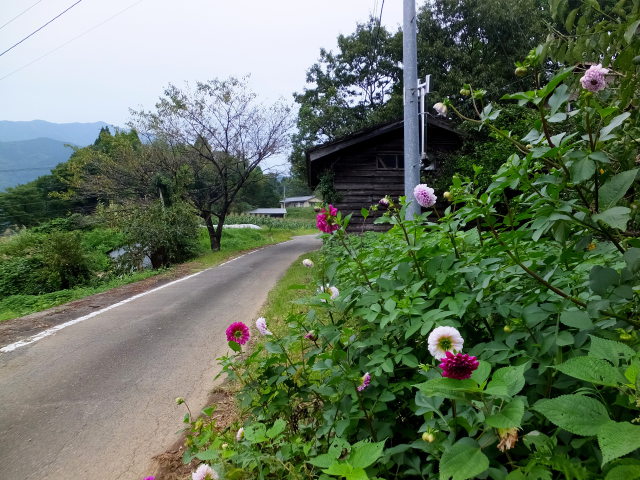 田舎道