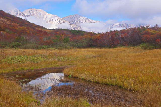  鎌池湿原と白馬三山