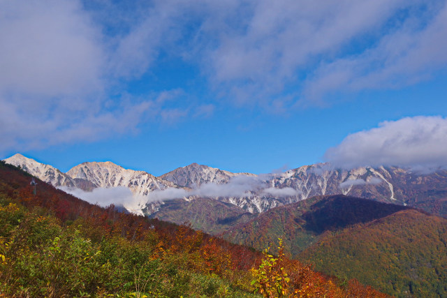 黒菱平から見る白馬三山