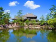 秋空の雲に東大寺