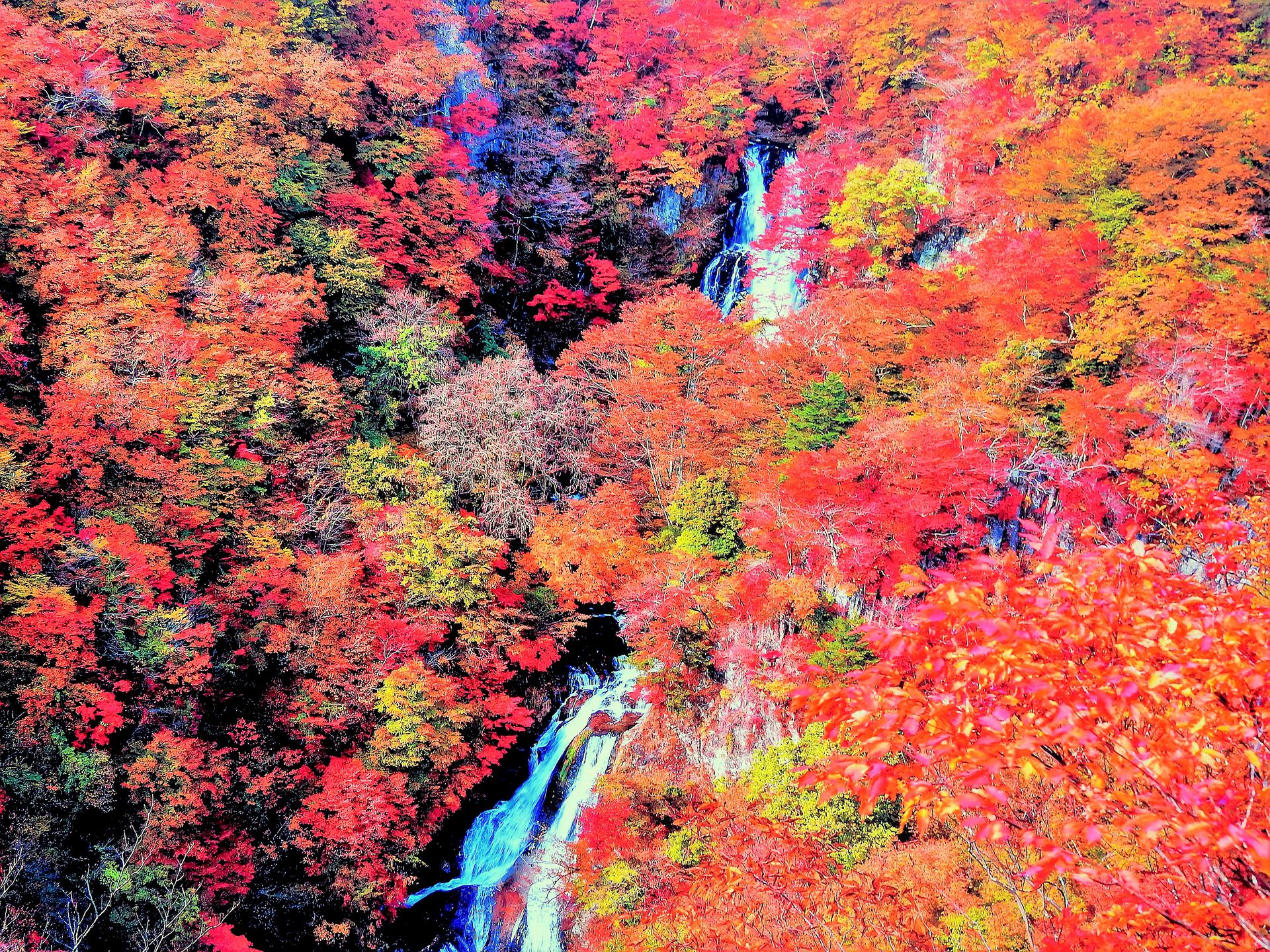 日本の風景 紅葉の風景 壁紙19x1440 壁紙館