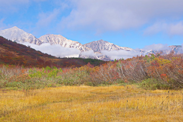 鎌池湿原から白馬三山