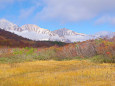 鎌池湿原から白馬三山