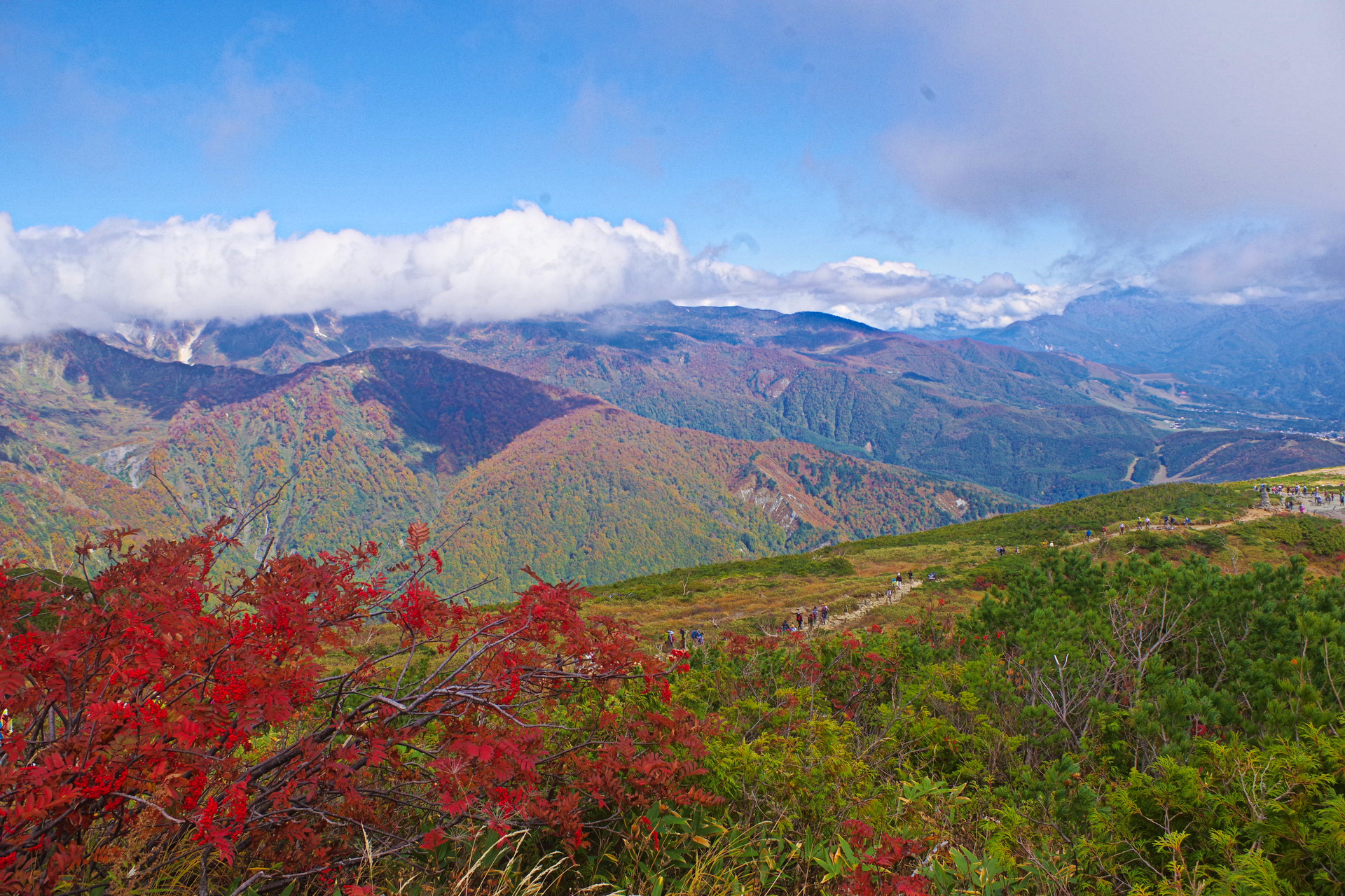 日本の風景 八方尾根から絶景の山並み 壁紙19x1280 壁紙館