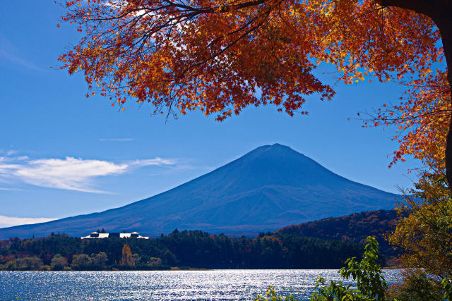 富士山と紅葉