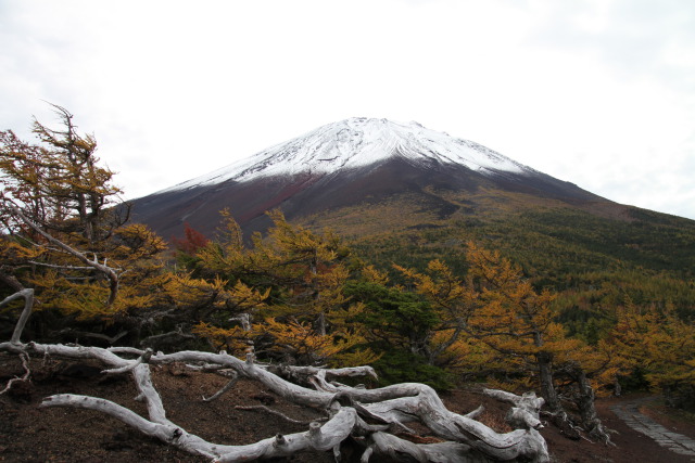 奥庭からの富士山初雪景色