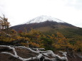 奥庭からの富士山初雪景色