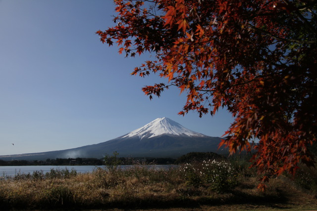 紅葉&富士山