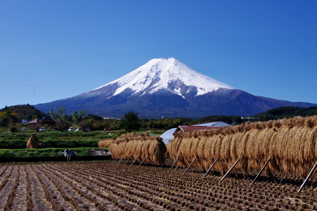 田園と富士山