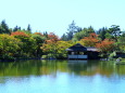 色づき始めた日本庭園