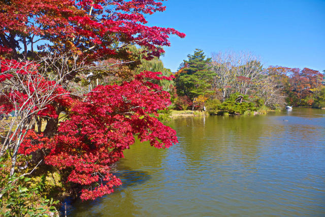 軽井沢タリアセン(塩沢湖)の紅葉