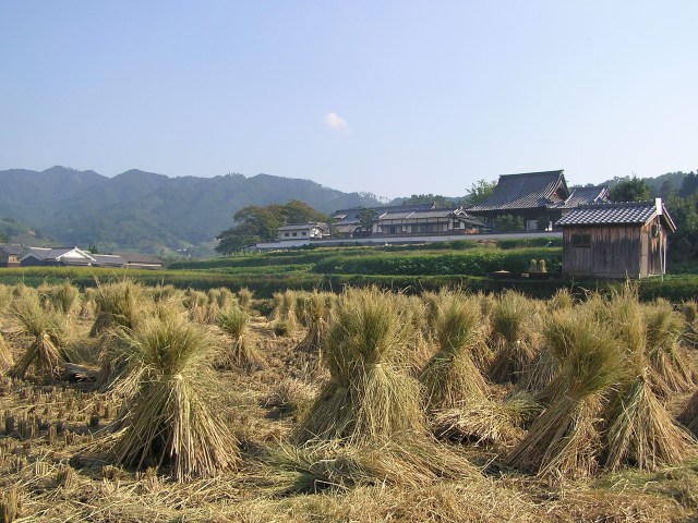 秋の飛鳥路・橘寺