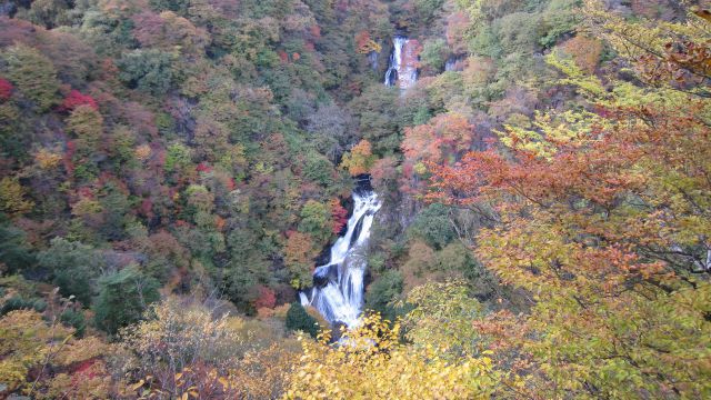 紅葉の霧降滝