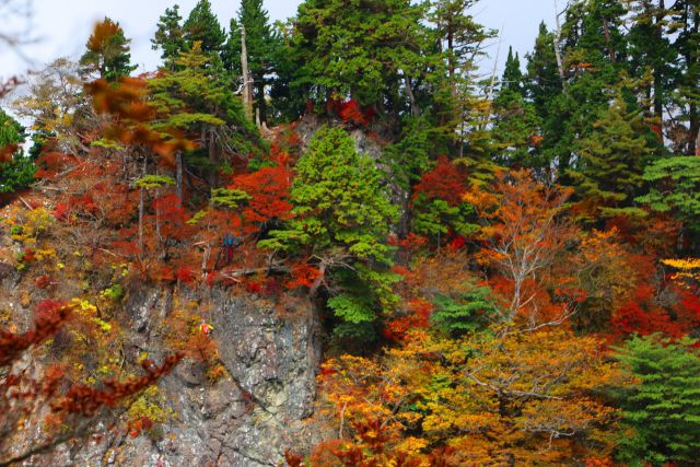 大台ケ原の紅葉